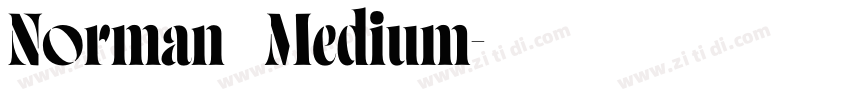 Norman   Medium字体转换